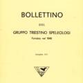 Bollettino del GTS, volume VIII